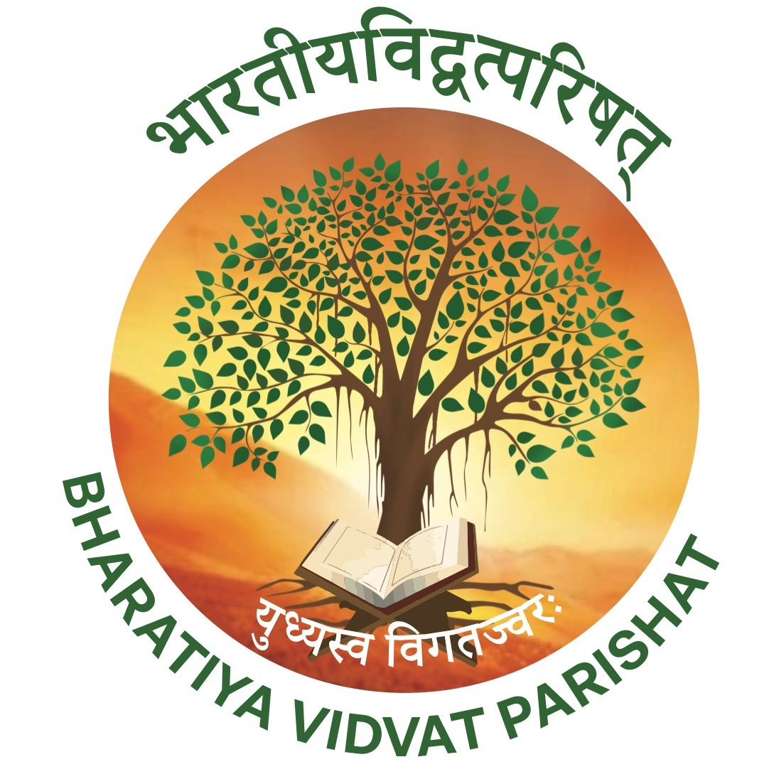BVP Logo